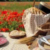 Souleiado Nos Tables Automnales | Nappe enduite ''Fleur des Champs''